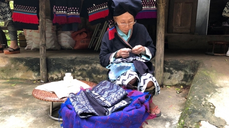 Lầy tzình páo dung hoi 23.6.2023