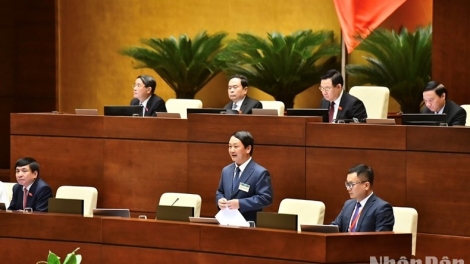 Xoọc đâu dzợ 15% đhanuôr acoon coh căh n’năl chữ