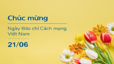 Như hoa không tên