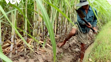 ពត៌មាន ម៉ោង​ ៦