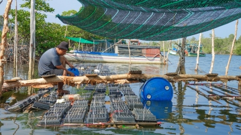 PHÚ QUỐC: RAONG ARIENG TASIK DI DALAM KADUNG NHỰA MALA HALUI GLAI