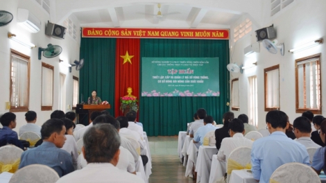 Klei bi kƀĭn mjuăt hriăm kơ bruă mkŏ mjing gưl lehanăn klei kiă kriê mrô knăl krĭng pla mjing, anôk đŭng hruh boh mnga bruă lŏ hma ti čar Daklak 