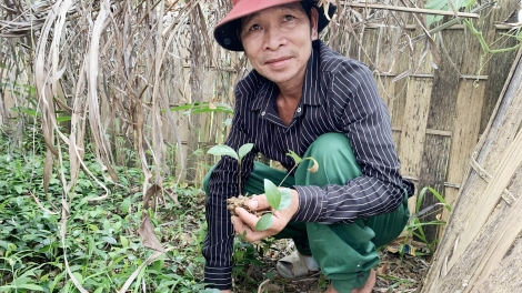 Chr’val Trà Ka, chr’hoong Bắc Trà My zooi 70 pr’loọng đông vêy đhr’năng zi lấh đha rứt