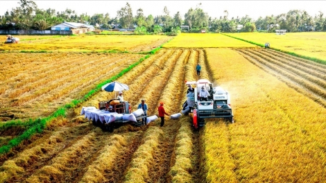 SOC TRANG CAGA PACANG DOM BRUK OH LAGAIH DI LANGIK TASIK