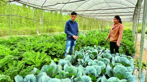 CHÀI KỊ SƯ AU TÀNG DƯỞNG ĐĂM CHAY MẤƯ MÀ CAO BẰNG