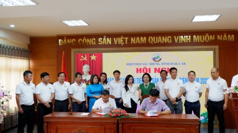 Dak Lak ĕp anih sĭ mơdrô boh sầu riêng 