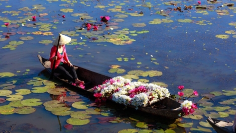 Dạ cổ hoài lang