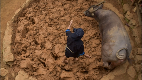 CHƯƠNG TRÌNH KHAY HENG TÀY NÙNG  (Thứ Sáu- Vằn 14/07/2023)
