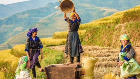 Phai paz nhây phiến