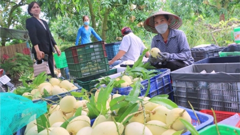 ពត៌មាន ម៉ោង​ ៦