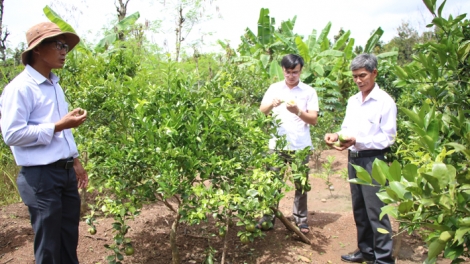 Pơtối  pêi hnoăng cheăng pơkuâ hnê ngăn Đảng tung mơnhông cheăng kâ rêh ối a kơpong tíu tơkăng kong