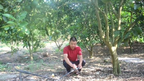 Lầy tzình  phát sinh ìu miền vả thứ 5 hoi 13.7.2023