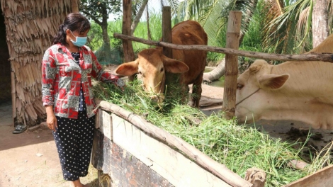 HUYỆN NINH PHƯỚC JHUL KHANG BRUK DAONG BA KA RAHRA TABIAK TRUH KAN KATHAOT KHANG KAJAP 