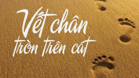 Vết chân tròn trên cát