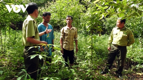 Kla kon jên iŏk yua cham char bri ‘moi kiơ̆ tai khoan hơnih mong jên