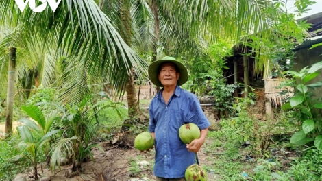 បណ្ដាអតីតយុទ្ធជនធ្វើសេដ្ឋកិច្ចពូកែលើស្រុកភូមិបូជនីយដ្ឋានលោកអ៊ំហូ នៅឃុំឡុងឌឹក ខេត្តត្រាវិញ។