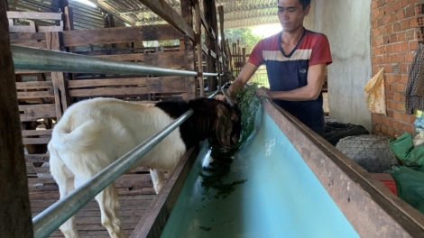 Tây Nguyên tă bơsong kal ke ai ală broă lơh jăt jơnau kờñ dà lơgar dê