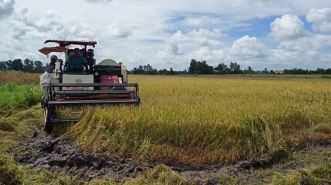 ពត៌មាន ម៉ោង​ ៦