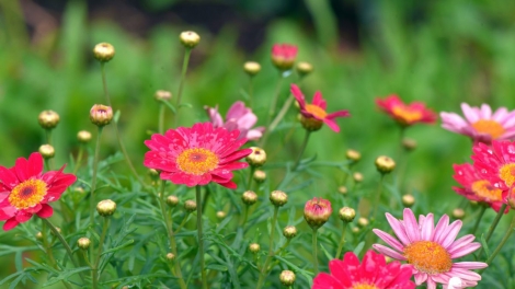 T'RUIH PA XƯL T'NGAY 4/7/2023