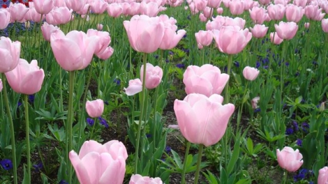 T'RUIH PA XƯL T'NGAY 8/7/2023