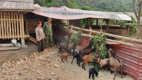 Pơsir hĭ tơlơi gun pok pơhai Hơdră pơđĭ kyar kual djuai ƀiă hăng čư̆ siăng