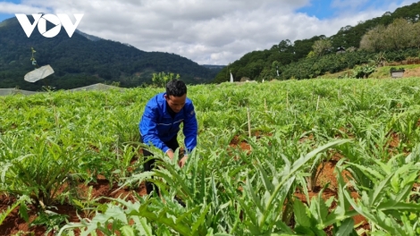 កម្មវិធីគោលដៅជាតិរួមចំណែកធ្វើឲ្យផ្លាស់ប្តូរទិដ្ឋភាពជនបទនៅឡឹមដុង