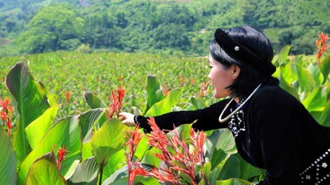 CHƯƠNG TRÌNH KHAY HENG TÀY-NÙNG (Thứ 4- Vằn 12/7/2023)