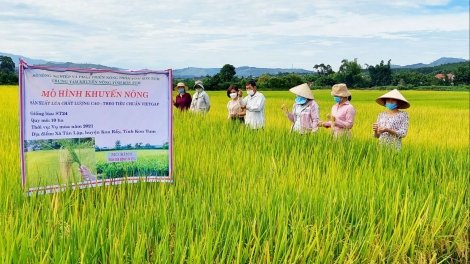 HUYỆN NINH PHƯỚC NGAK PADAI TUI CHUẨN VIETGAP