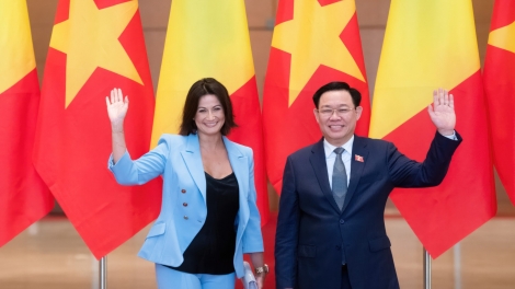 Kơdră Kuôk hô̆i Vương Đình Huệ pơma đam hăm Kơdră Thượng viện teh đak Bỉ