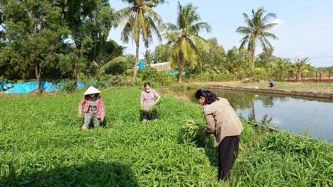 ការរីកចំរើនតំបន់ជនរួមជាតិខ្មែរខេត្តកាម៉ាវ