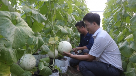 URANG NONG BINH DUONG BA GAUK NGAK NONG KONG NGHE GLAONG