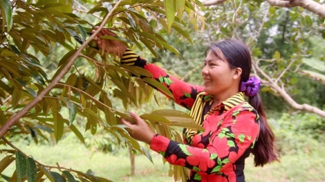 Đảng viên hơnăm ối nếo Điểu K’Điệp tíu kơpong hngế hngo Lâm Đồng 