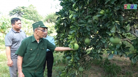 Coz làn thương binh pảnh binh tzấu mâu ziêm Văn Bàn