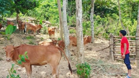 Đợ bha ar xrặ: HÂU TU ZÊN ĐỚC ĐOỌNG HA ĐHANUÔR ACOON COH LUM PR’ẮT TR’MÔNG ZR’NĂH K’ĐHAP “DZỢ K’ĐOONG” COH KHO BẠC