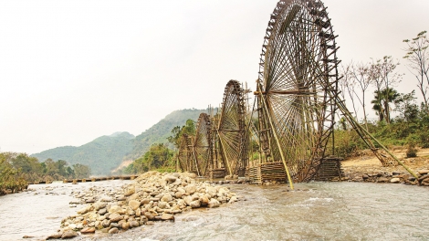 Phai paz nhây phiến