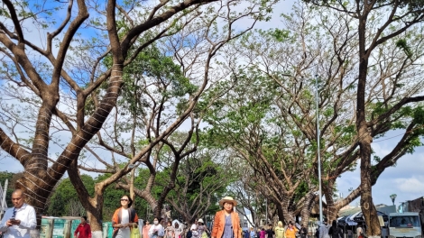 Dak Lak: Tíu pơkâ tơbleăng kơphô̆ prôk chêng ƀă tơdroăng ki ăm mung rơxế mái kơto a pơlê kong kơdrâm Ƀuôn Ma Thuột