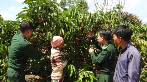 Bi mlih klei mĭn, hdră ngă čiăng tlaih kơ ƀun