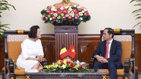 Khua phŭn bruă hŏng tač êngao Bùi Thanh Sơn drông čhưn khua bruă kƀĭn ala nah dlông ala čar Belgium 