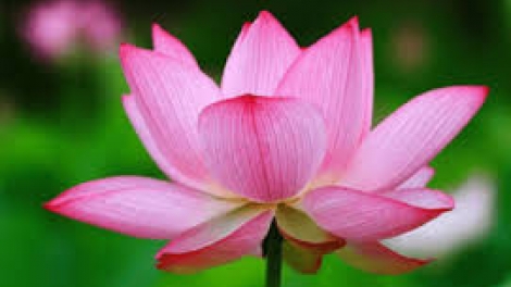 Danak dak sap Cam 31_08_2023