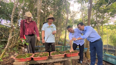 Hơdôm tơlơi čih: Mơnuih hơdip gah yŭ glai rưng - Tơlơi čih tal 3: “Tơlơi hok mơ-ak gah yŭ glai rưng hơđong”