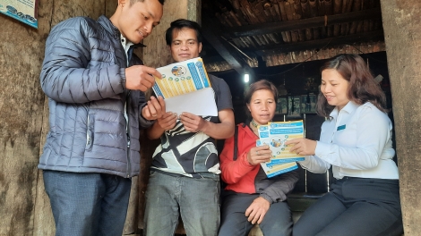 Quảng Nam xơợng bhrợ lâh 550 g’luh xay truih pháp luật