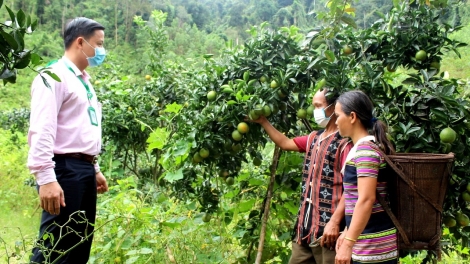 Pa dzoọc zên đoọng vặ lâng pr’loọng bhrợ cha, pa câl zr’lụ zr’nắh k’đhạp