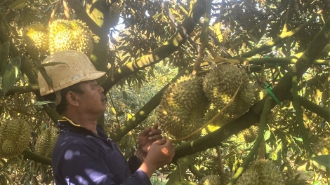 Dôm Đảng viên bơngai Ê đê pơm jŭk yŭk trong hơlâu tơ̆ Ea Tul