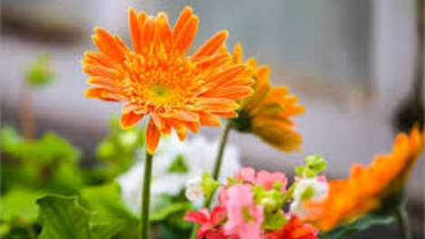 T'RUIH PA XƯL T'NGAY 20/9/2023