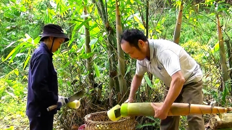 Chương trình phát thành quam Tay thứ 3 mự 12 căm bườn 9 pì 2023