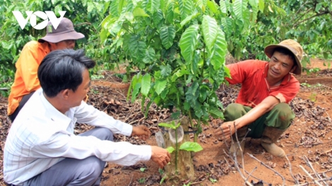 Mâu tơdroăng pơchân tung ‘mâi pêt kơphế