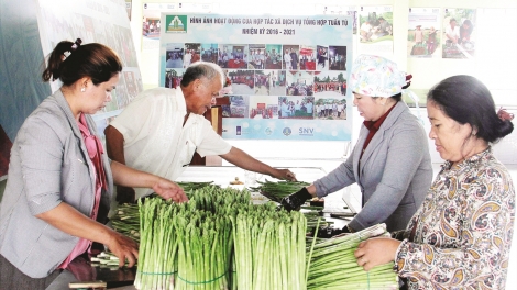 HADAH HADAI PALEI CAM DI BHUM TAPEN NEGAR NINH THUAN