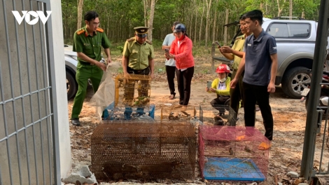 Quảng Trị p’lóh bhi nga ga mắc chr’nắp pr’hắt chô ooy crâng k’coong