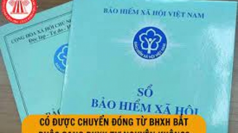 Tuôr jông đas jos chiê uô nênhx hur siêz hnuz xiêz 06-9-2023