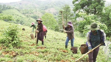 Đồng bào dân tộc thiếu đất sản xuất được hỗ trợ chuyển đổi nghề